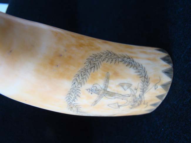 A wonderful American scrimshaw sperm whale's tooth circa 1850 — image 7